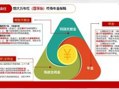 恒大万年红产品背景责任及规则六大亮点33页.pptx