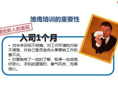 雏鹰培训课程精析操作要点33页.pptx