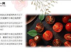每日健康一个西红柿就能解决的事你竟然花了那么多钱9页.ppt