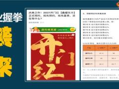 泰康智赢2020年金与价值的账户解析101页.pptx