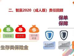 泰康智赢年金成人版保险责任话术市场优势15页.pptx