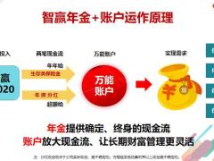 泰康账户速成四性收益性灵活性保障型安全性26页.pptx