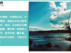 每日鸡汤要做就做生活的强者.zip
