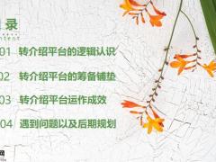 公司转介绍平台逻辑认识筹备铺垫运作成效遇到问题后期规划27页.pptx