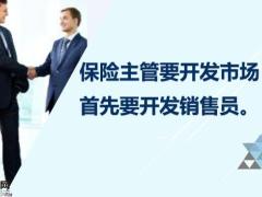保险销售人员的激励16页.pptx