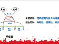 五张图讲寿险意义功用26页.pptx