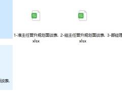 准主任组主任部经理总监晋升规划面谈表.rar