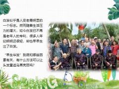 每日健康白发越长越多原来是这里出了问题15页.ppt