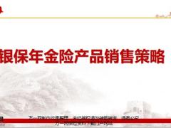 国寿银保年金险产品销售策略86页.pptx