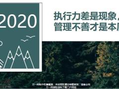 执行力差是现象管理不善才是本质21页.pptx