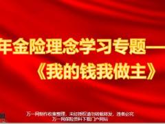 年金险理念学习专题我的钱我做主29页.pptx