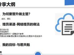 顾问营销网络优增助力发展19页.pptx