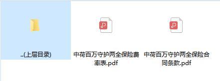 中荷百万守护两全保险合同条款费率表.rar