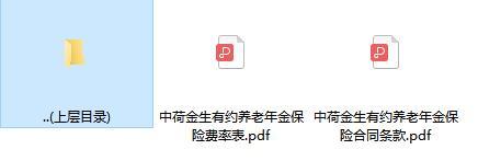 中荷金生有约养老年金保险合同条款费率表.rar