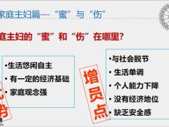 增员面谈家庭主妇篇切入点关键句话术案例填写16页.pptx