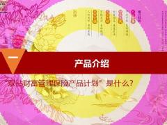 华夏双钻财富管理保险产品介绍特色案例解析相关规则常见问题34页.pptx
