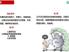 国寿福之常见病种介绍淋巴瘤20页.pptx