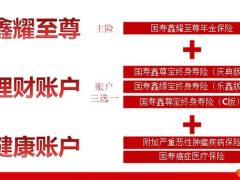 国寿鑫耀至尊产品训练产品形态销售逻辑案例展示21页.pptx