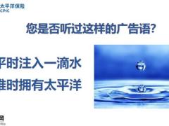 走进世界200强太保形象宣传53页.pptx