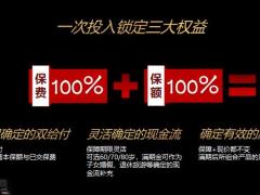 太平福满天下福多多保险产品计划培训课件24页.pptx
