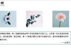 新华保险2020年10月十大赔案13页.ppt