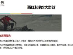 每日健康一个西红柿就能解决的事你竟然花了那么多冤枉钱14页.ppt