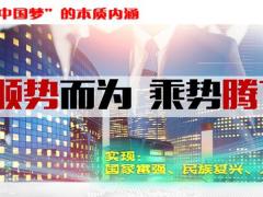 六句话讲保险行业20页.pptx