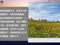 每日鸡汤励志人生拼搏过奋斗过有辉煌也有坎坷.zip