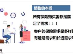 做保险就是开发需求20页.pptx