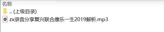 录音分享复兴联合康乐一生2019解析.rar