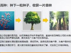 种子大树运营基础知识重要环节选择21页.pptx