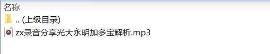 录音分享光大永明加多宝解析.rar
