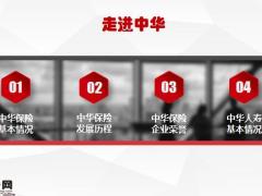 中华人寿公司简介22页.pptx