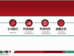 中荷人寿公司简介经营现状特色战略定位21页.pptx