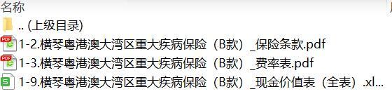 横琴粤港澳大湾区重大疾病保险B款保险条款费率现金价值.rar