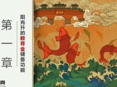 阳光人寿阳光升步步升教育金养老储备资产传承功能32页.pptx