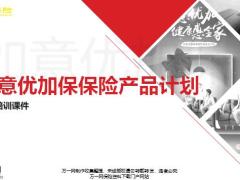 民生如意优加保保险产品计划绿通服务案例演示新增流程31页.pptx