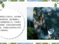 每日鸡汤选择比努力更重要思路决定出路.zip
