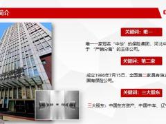 中华尊逻辑品牌特色案例分析33页.pptx