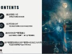 年金型产品与终身寿险产品市场分析23页.pptx