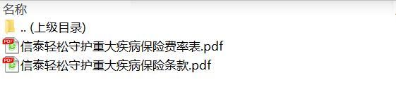 信泰轻松守护重大疾病保险条款费率.rar