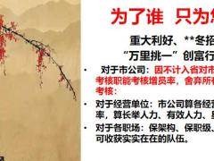2020健康新政创说会宣导项目背景逻辑运作流程支持34页.pptx