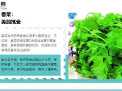 每日健康几种难吃的菜反而让你健康10倍13页.ppt