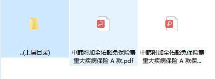 中韩附加全佑豁免保险费重大疾病保险A款条款费率.rar