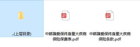 中韩臻爱保终身重大疾病保险条款费率.rar