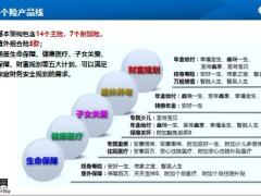 利安人寿个险产品线五大主打保险产品特色11页.pptx
