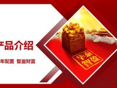 华泰智盈金瑞版产品介绍投保规则17页.pptx