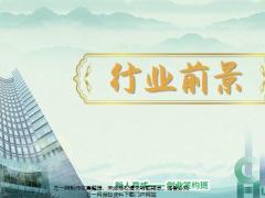 行业历史前景舞台含备注37页.pptx