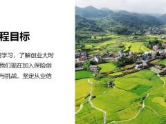 国寿福悦组合销售逻辑组合介绍产品示例课程训练20页.pptx