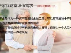 阳光人寿阳光升在中产家庭资产配置中的作用26页.pptx